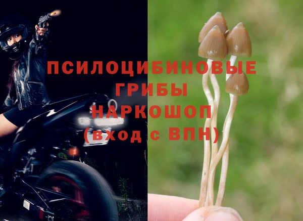 а пвп мука Дмитров