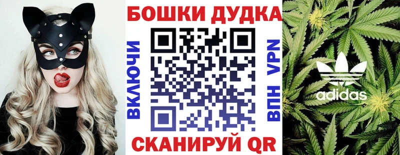 Купить где  Суджа  Канабис индика 